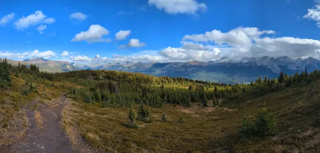 A panoramic photograph taken from a hiking trail, with grass and pine trees in the foreground, and snow topped mountains in the background.
