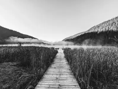 A black-and-white photograph of a lake with a long narrow wooden jetty in the foreground. Either side of the jetty are tall reeds. The lake is covered with a bank of mist, either side of the lake are pine-tree covered mountains.